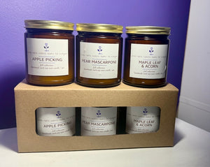 9oz Fall Candles