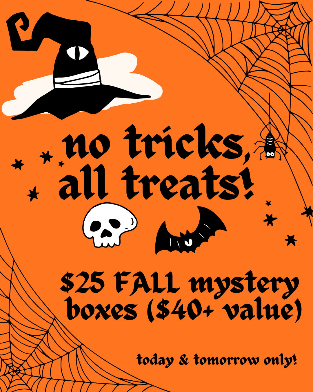 Fall Mystery Boxes